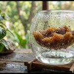 university-of-texas-researchers-turn-everyday-biomass-into-a-machine-that-makes-water-from-air.jpg