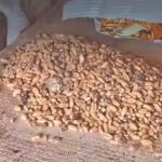 wheat-rice-stock.jpg