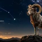 1790623874_aries.jpg