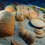 2100-year-old-shipwreck-filled-with-122-varieties-of-ancient-roman-tableware-found-by-archaeologists.avif