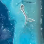 a-300-foot-maldives-beach-was-shrinking-slowly-then-mit-researchers-built-an-artificial-reef-that-he.avif