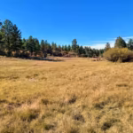 a-colorado-family-has-protected-a-684-acre-ranch-that-stayed-in-the-same-family-for-90-years-its-old.avif