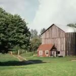 a-maryland-family-let-their-worn-out-farm-heal-in-1954-72-years-later-its-protected-forever.jpg