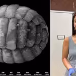 a-scientist-turned-an-80-motel-room-into-a-makeshift-lab-then-she-discovered-two-new-species-of-micr.avif