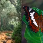 according-to-bbc-earth-bayliss-has-spent-years-using-satellite-imagery-and-remote-sensing-technology.avif