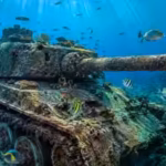 almost-10-years-after-the-tanks-went-under-researchers-from-ramkhamhaeng-university-in-bangkok-did-s.avif