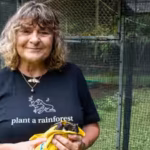 an-australian-woman-bought-cleared-sugarcane-land-and-planted-trees-10-years-later-119000-trees-tran.avif