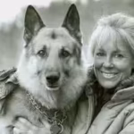 anne-labastille-built-a-12-by-12-foot-cabin-deep-in-new-yorks-adirondacks-with-no-electricity-plumbi.avif