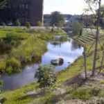 athol-has-now-uncovered-it-created-12000-sq-ft-of-wetlands-and-turned-53000-sq-ft-of-pavement-into-v.avif