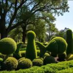 bishopvilles-whimsical-topiary-garden.jpg