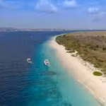 bonaire-fenced-dry-forest-to-keep-goats-out-15-years-later-only-22-of-60-native-tree-species-had-ret.avif