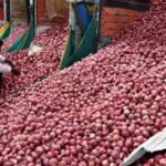 centre-expands-rs-35kg-sale-to-19-cities-amid-supply-concerns.jpg