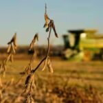 china-cuts-tariffs-on-us-farm-goods.jpg