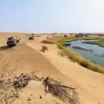 china-spent-years-building-a-green-wall-around-the-taklamakan-desert-now-researchers-discover-hidden.avif