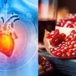 clinical-trials-will-be-needed-to-establish-whether-urolithin-a-can-safely-improve-heart-relaxation.avif