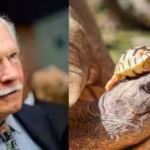 cnn-founder-ted-turners-new-mexico-ranch-helped-save-north-americas-rarest-large-tortoise-growing-it.avif