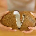 coconut-opening.jpg