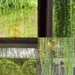 create-a-beautiful-living-curtain-with-hanging-plants.jpg