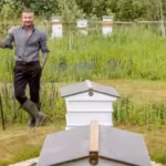 david-beckham-started-keeping-bees-during-lockdown-and-now-produces-his-own-honey-expert-explains-ho.avif