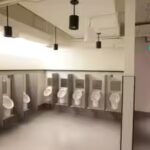 dutch-scientists-turn-office-urine-into-electricity-nutrients-and-potentially-hydrogen.jpg