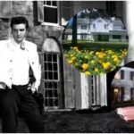 elvis-persleys-memphis-mansion.jpg
