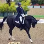 equestrian.jpg