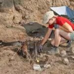 excavaton-representative-image.jpg