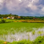 for-a-family-that-has-worked-the-property-for-more-than-70-years-the-arrangement-preserves-both-the.avif