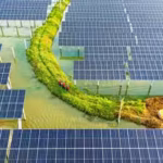 google-bill-gatess-fund-invests-318m-in-california-startup-aiming-to-build-solar-farm-using-robots-a.avif