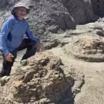 high-school-teacher-searching-for-fossils-discovers-four-footprints-later-confirmed-as-the-first-rep.avif