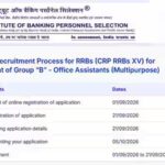 ibps-rrb-clerk-2026-notification.jpg