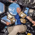 in-1984-nasa-sent-125-million-tomato-seeds-to-space-in-1990-they-had-to-be-brought-back-to-earth-and.avif