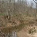 in-1995-an-illinois-recreation-manager-bought-100-acres-near-a-major-lake-image-credit-usdagov.jpg