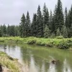 in-2003-sean-and-melodye-rooney-bought-montana-land-23-years-later-their-57-acres-were-protected.jpg