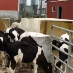 in-2011-a-massachusetts-dairy-installed-the-states-first-agricultural-digester-by-2020-manure-and-fo.avif