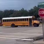 indian-woman-in-us-explains-school-bus-rule-crossing-it-can-cost-up-to-rs-94490.jpg