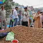 jampk-produces-35-lakh-tonnes-of-walnuts-annually.jpg