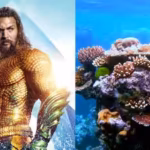 jason-momoa-raises-alarm-over-coral-reefs-nearing-extinction-scientists-report-worlds-most-widesprea.avif