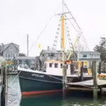 little-lady-is-set-to-be-moved-to-the-gannon-and-benjamin-marine-railway-for-repairs-vineyard-gazett.avif