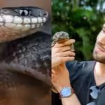 meet-alejandro-arteaga-the-ecuadorian-biologist-who-went-into-cloud-forests-looking-for-reptiles-for.avif
