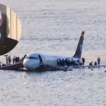 meet-captain-sully-sullenberger-he-landed-a-plane-on-the-hudson-river-after-a-bird-strike-disabled-b.avif