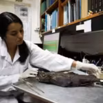 meet-naidely-valeria-vidaurre-quesada-the-scientist-who-helped-uncover-a-ghost-shark-species-hiding.avif