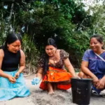 meet-the-turtle-women-of-amazon-7-indigenous-women-are-bringing-vulnerable-river-turtles-back-from-t.avif