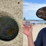 metal-detectorist-stumbles-on-a-140-year-old-zanzibar-coin.jpg