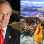 michael-bloomberg-committed-260-million-to-protect-the-worlds-oceans-his-initiative-has-already-stre.avif
