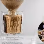 mit-scientists-turned-tree-branches-into-water-filters-that-remove-more-than-99-of-bacteria-and-viru.avif