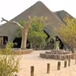 namibia-spent-decades-building-community-conservancies-in-2026-a-new-plan-aims-to-secure-more-than-2.avif