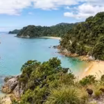 new-zealand-spent-14-years-removing-pests-and-weeds-from-abel-tasman-the-national-park-now-has-flour.avif