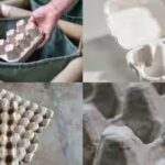 old-egg-cartons.jpg