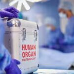 organ-donation.jpg
